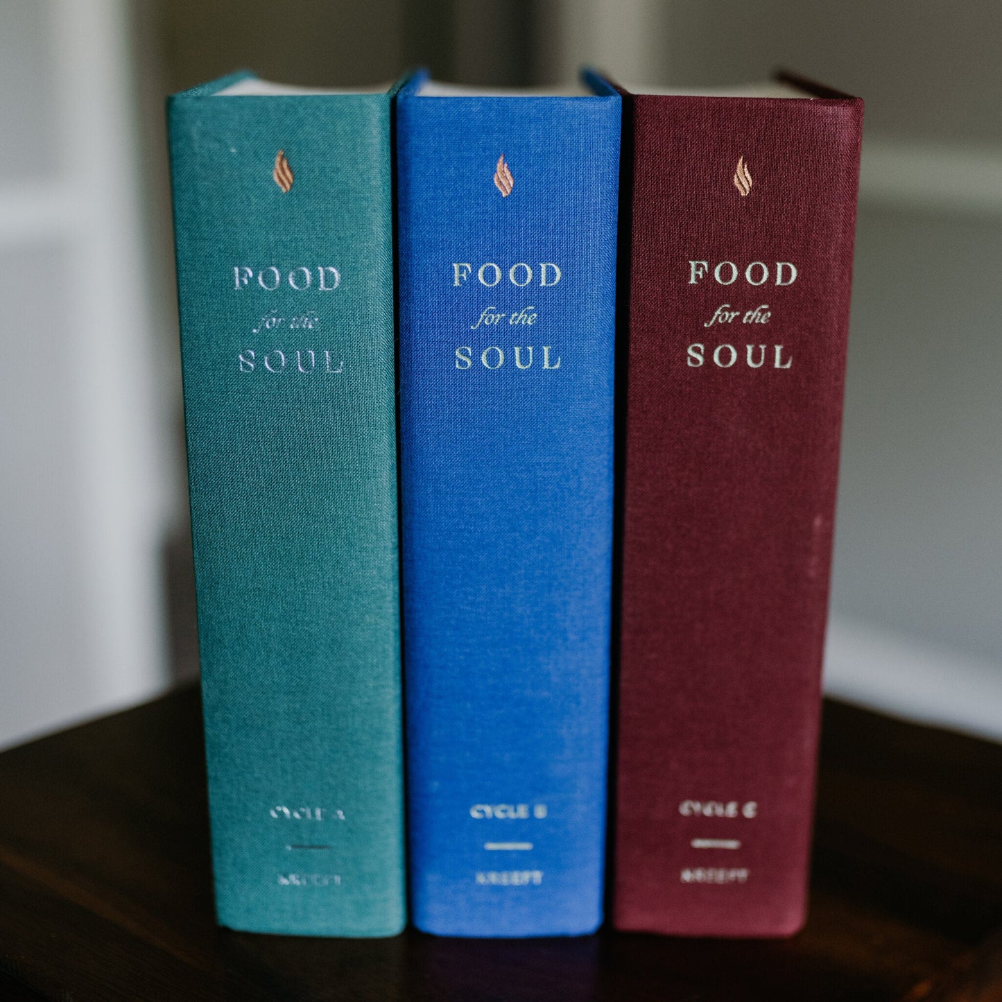 Food for the Soul Set (Cycles A, B, & C)