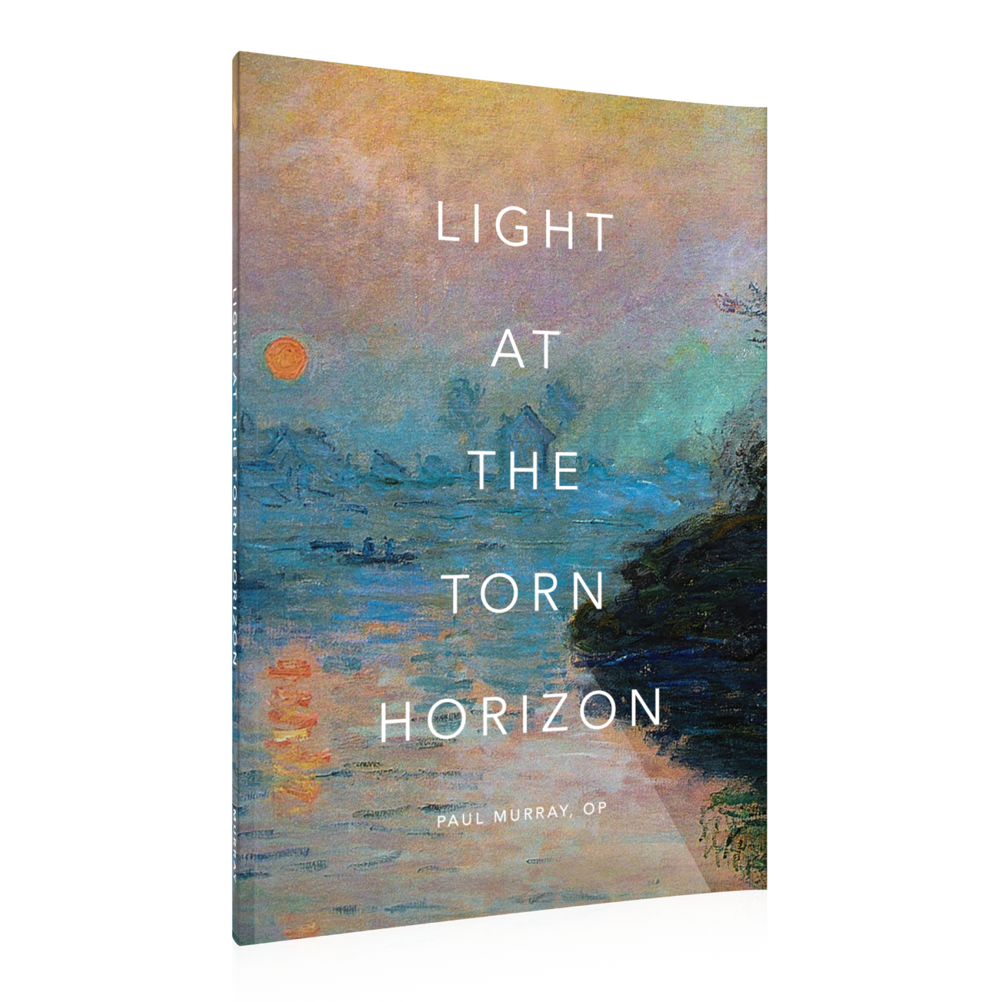 Light at the Torn Horizon